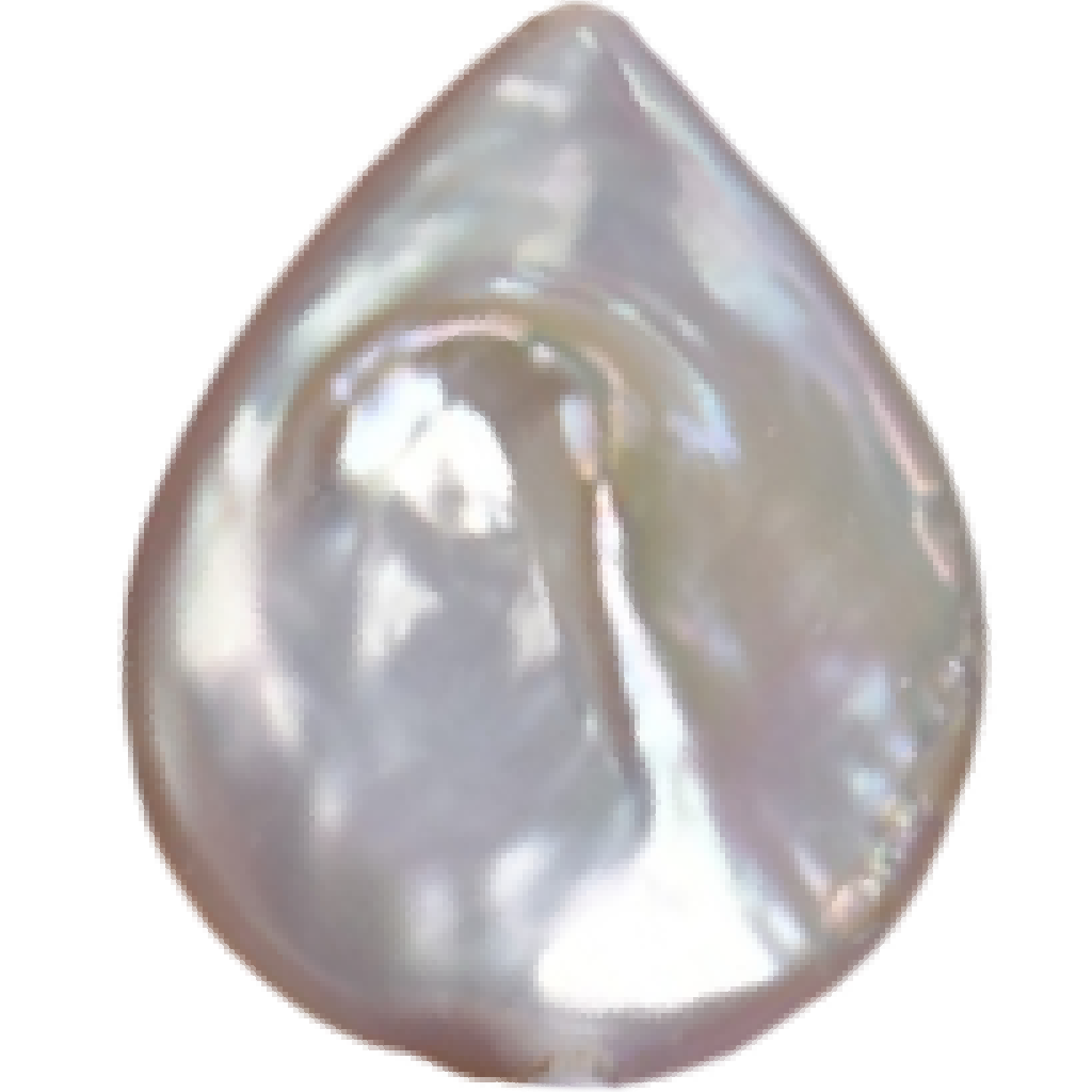 U2301 White Flat Teardrop Freshwater Pearl