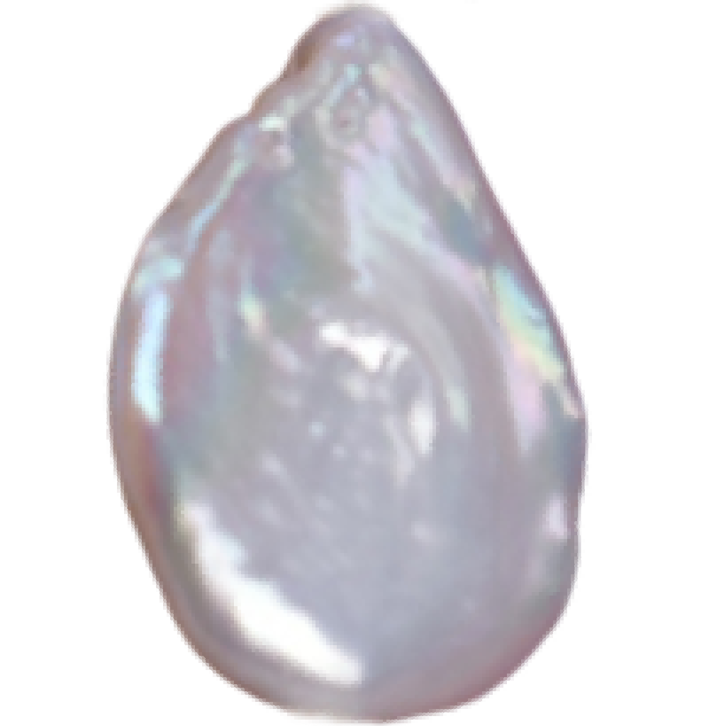 U2301 White Flat Teardrop Freshwater Pearl
