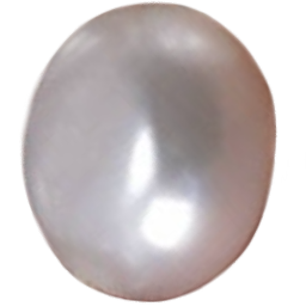 U1201 Natural Freshwater High-Dome Button White Pearl