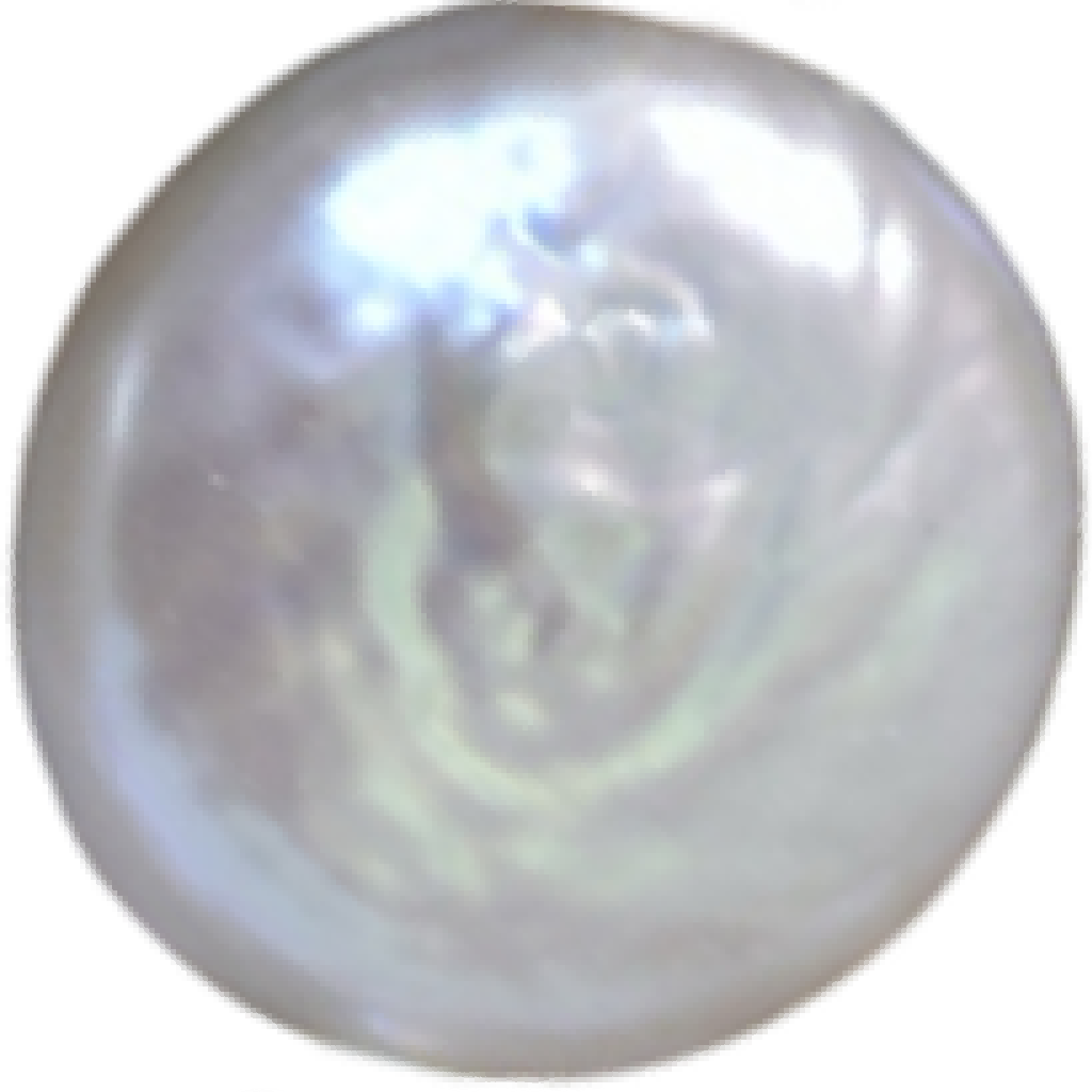 U2101 White Button Freshwater Pearl