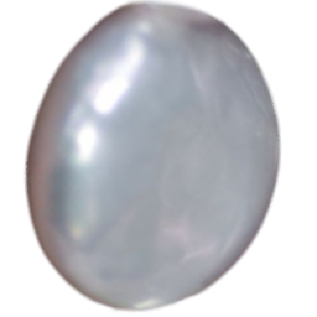 U2101 White Button Freshwater Pearl