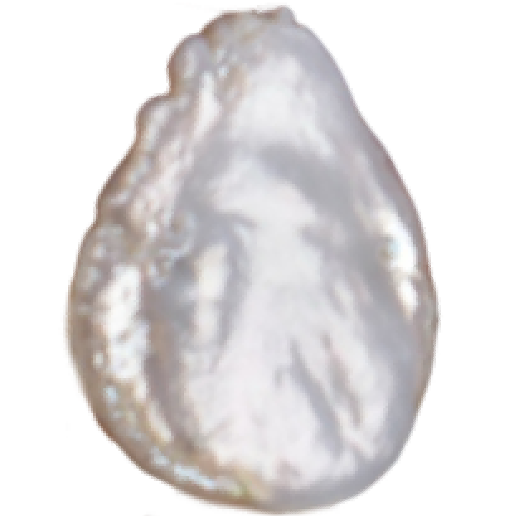 U2301 White Flat Teardrop Freshwater Pearl