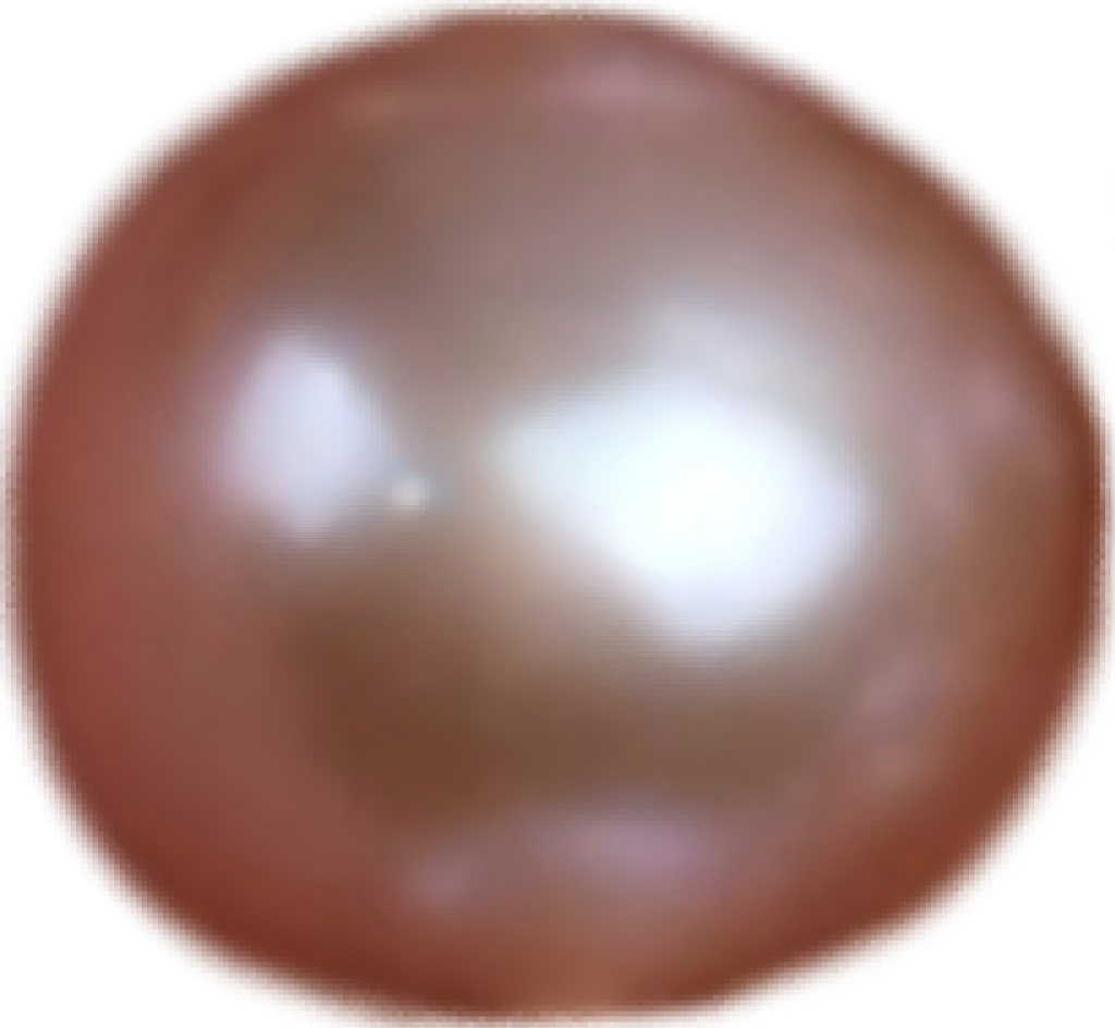 P0203 Standard Purple Freshwater Pearl