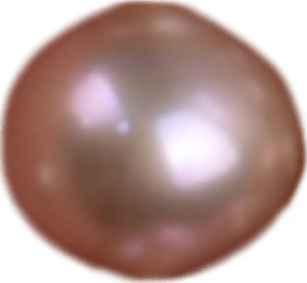 P0203 Standard Purple Freshwater Pearl