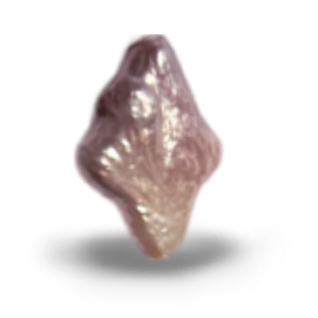 U0403 Purple Cross Star Freshwater Pearl