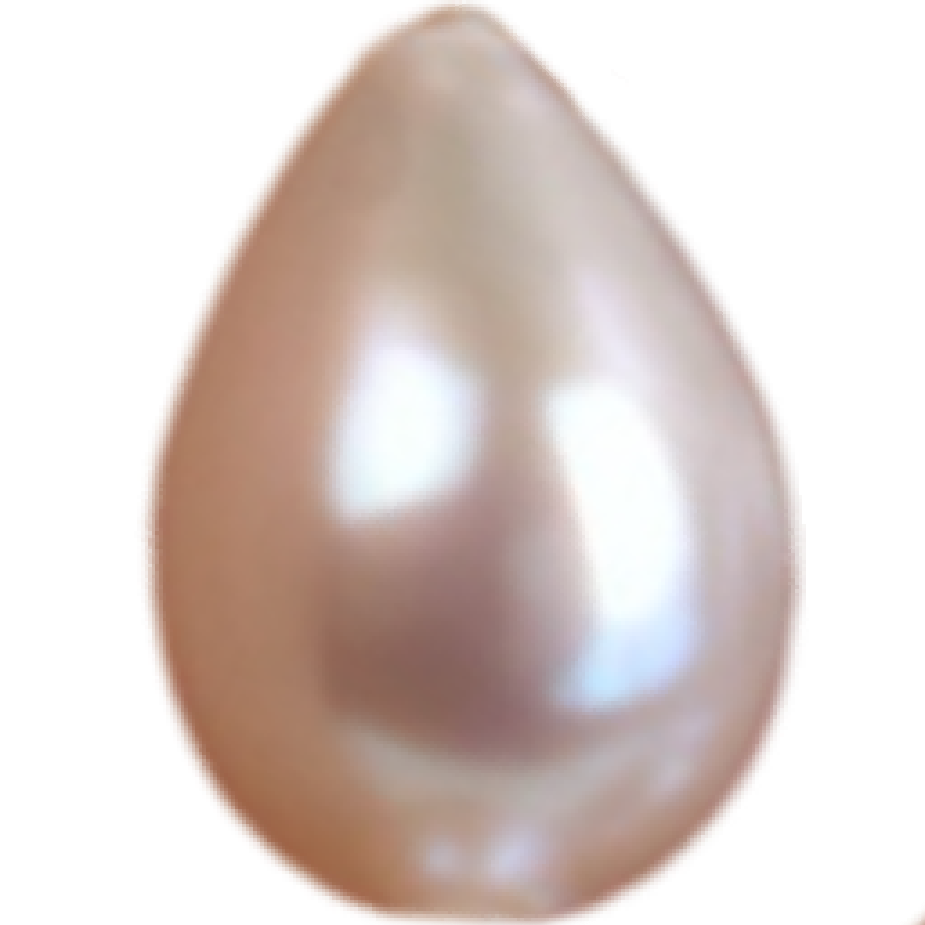 U2201 White Teardrop Freshwater Pearl