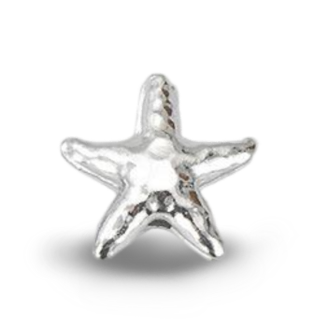M1502 Starfish Bead