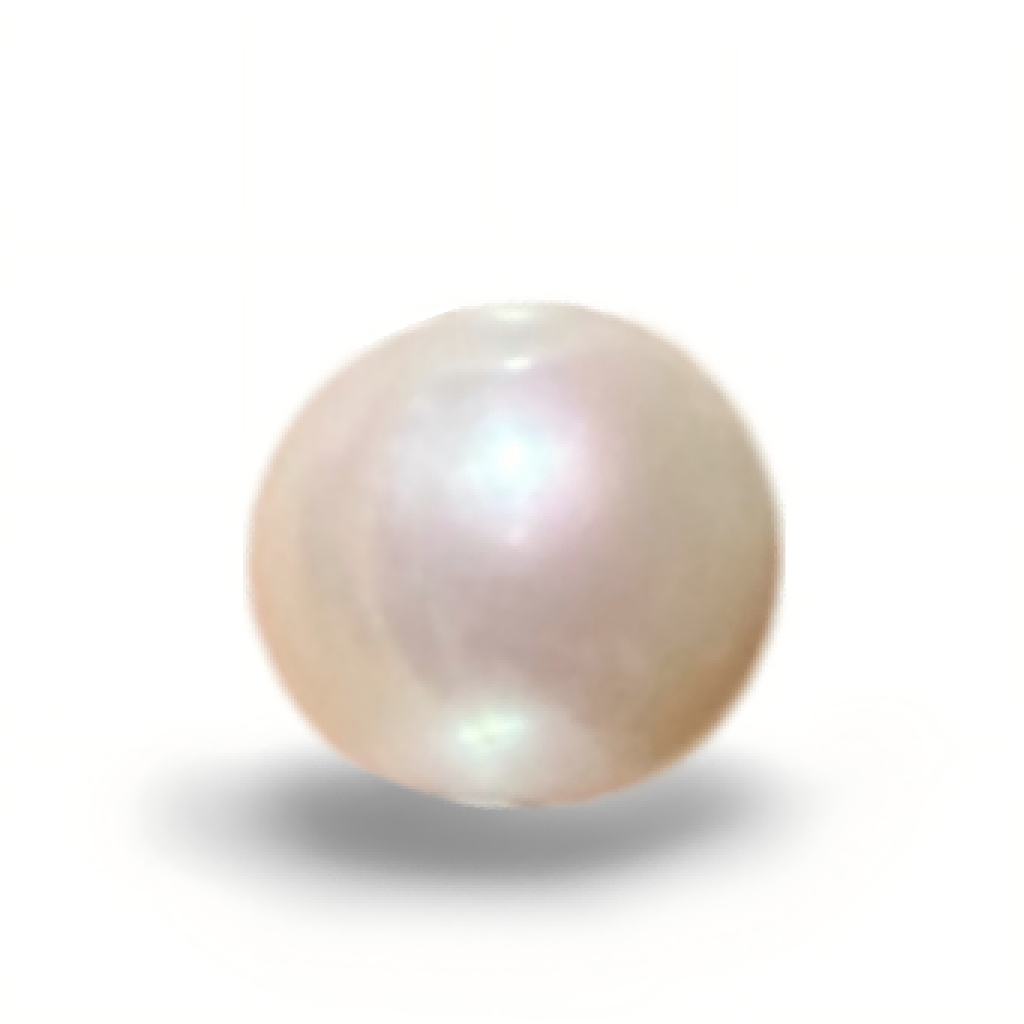 P0201 Standard White Freshwater Pearl