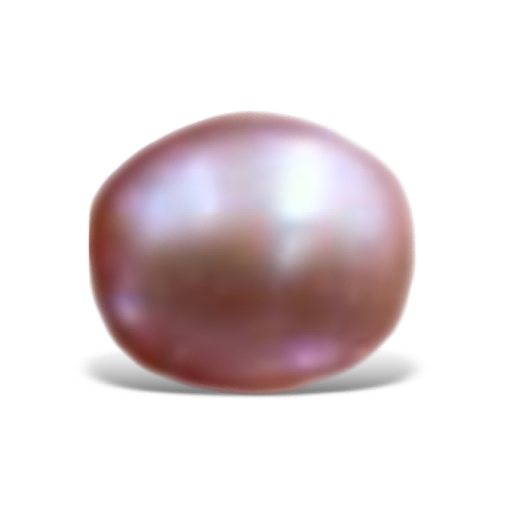 U1903 Purple Oval Freshwater Pearl