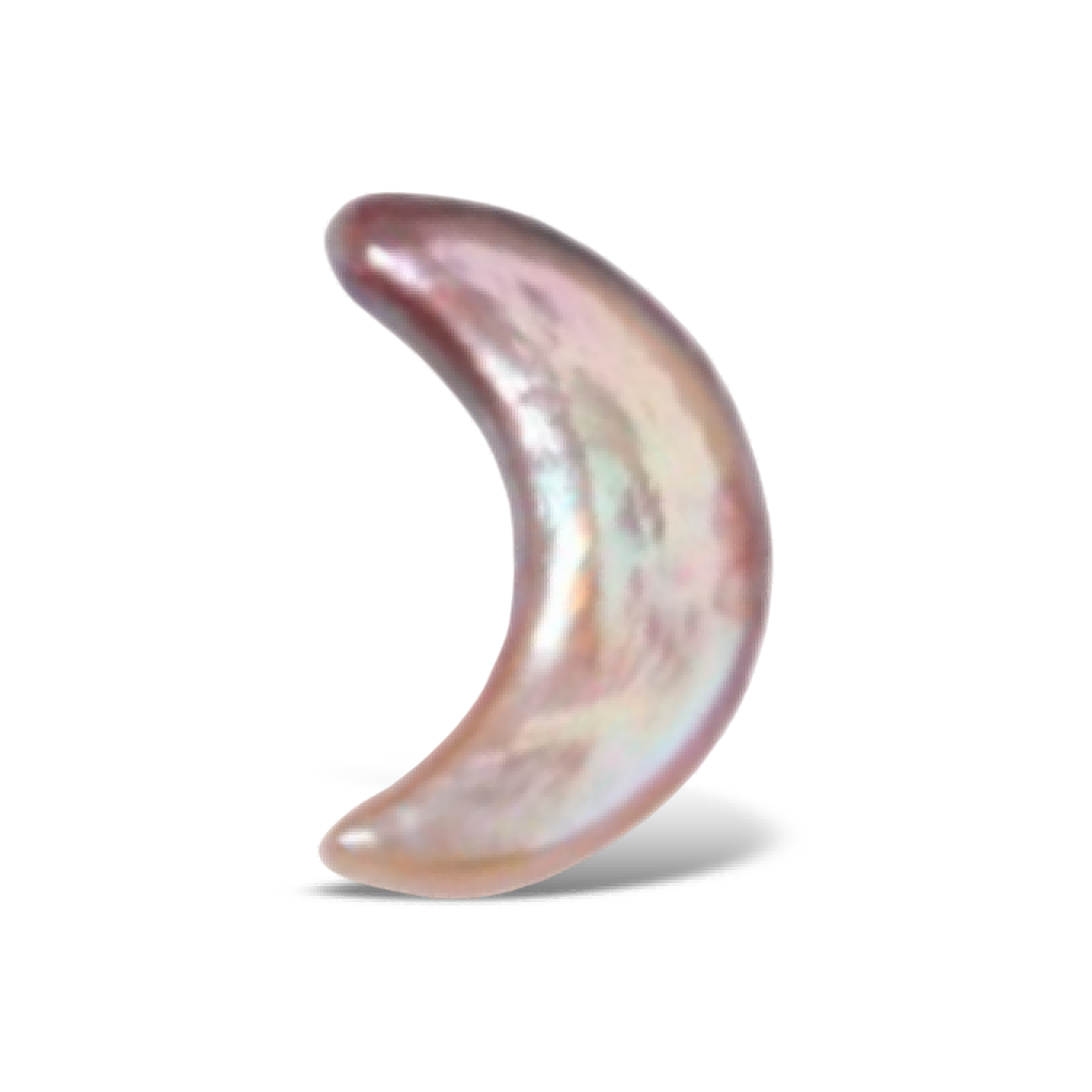 U1503 Purple Moon-Shaped Baroque Freshwater Pearl