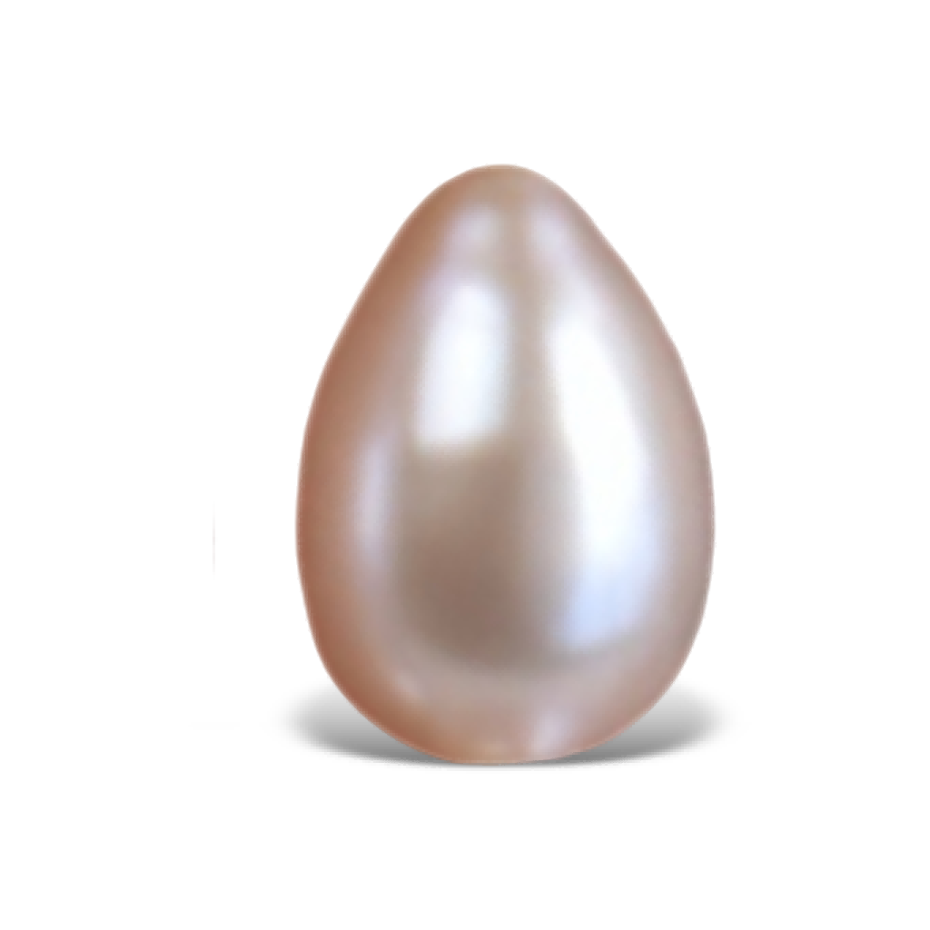 U2201 White Teardrop Freshwater Pearl