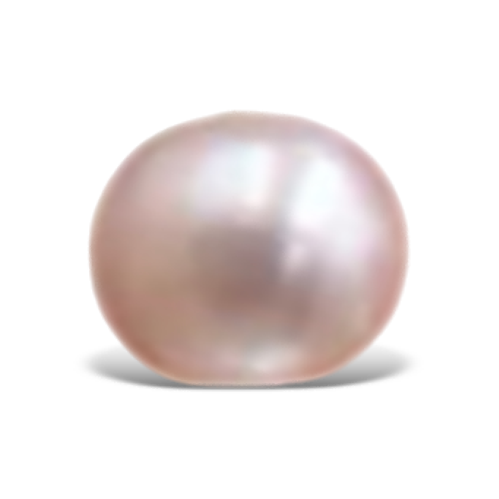 U1901 White Oval Freshwater Pearl