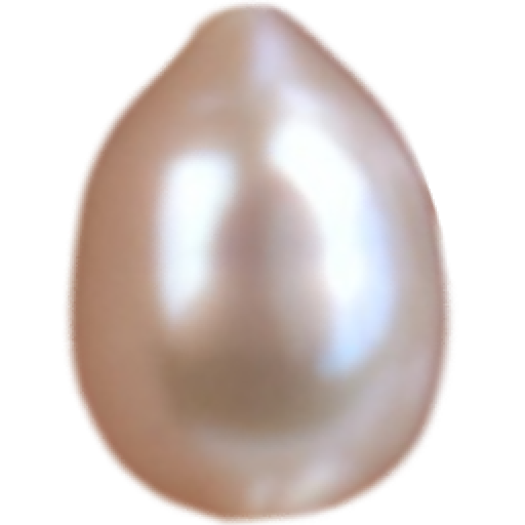 U2201 White Teardrop Freshwater Pearl