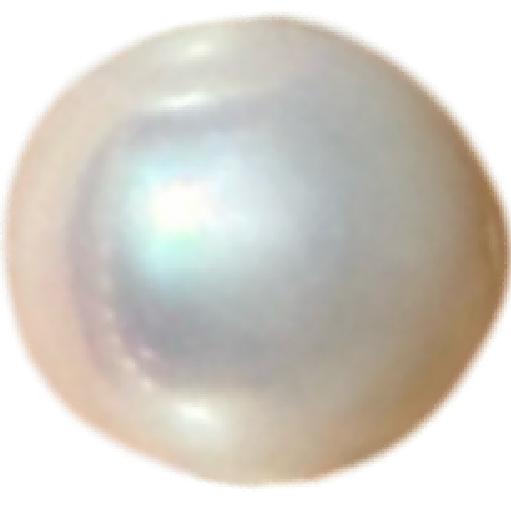 P0201 Standard White Freshwater Pearl