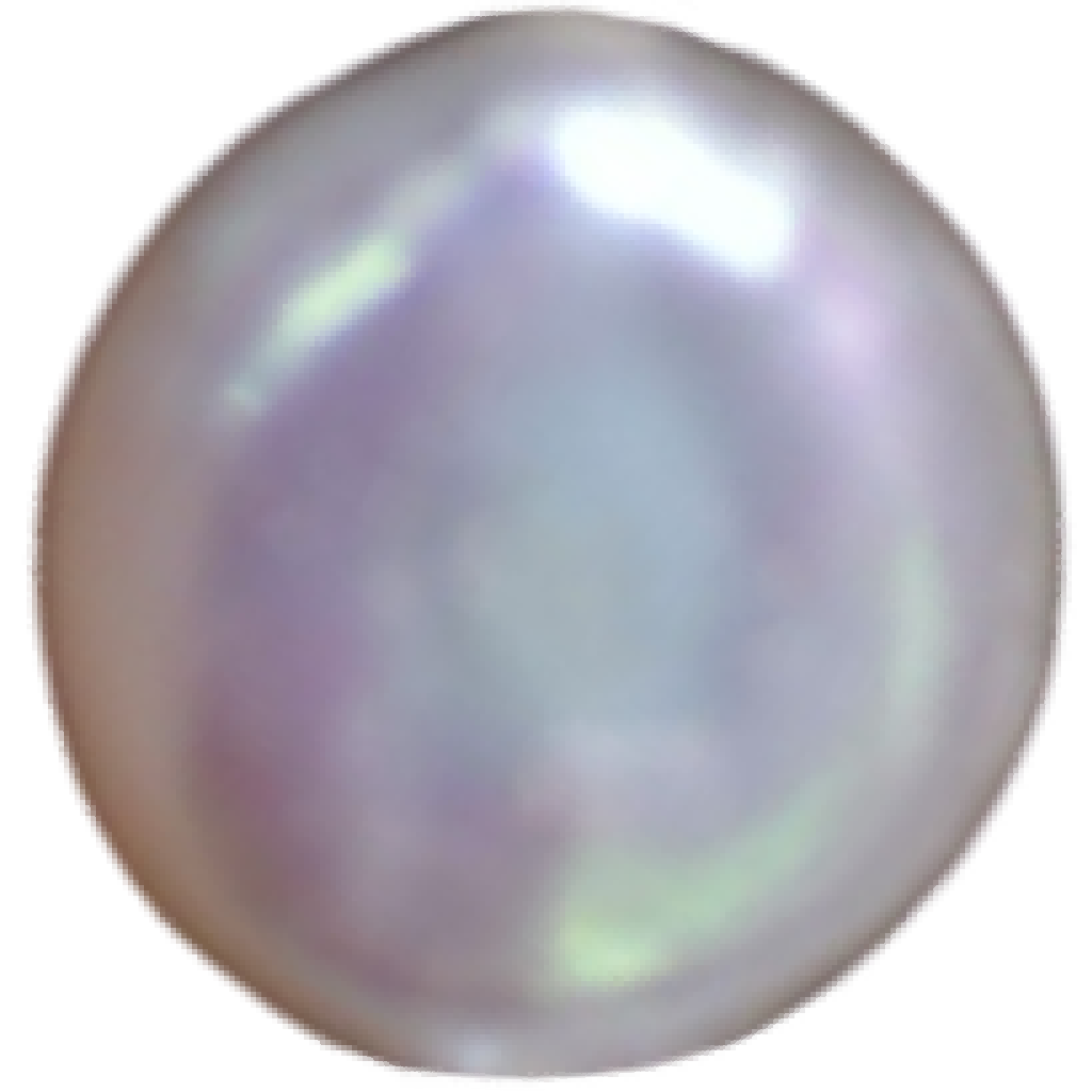 U2101 White Button Freshwater Pearl