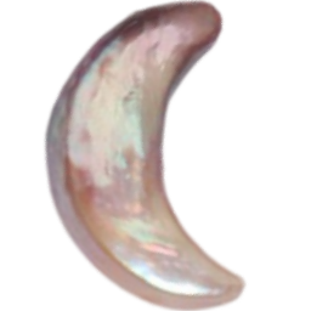 U1503 Purple Moon-Shaped Baroque Freshwater Pearl