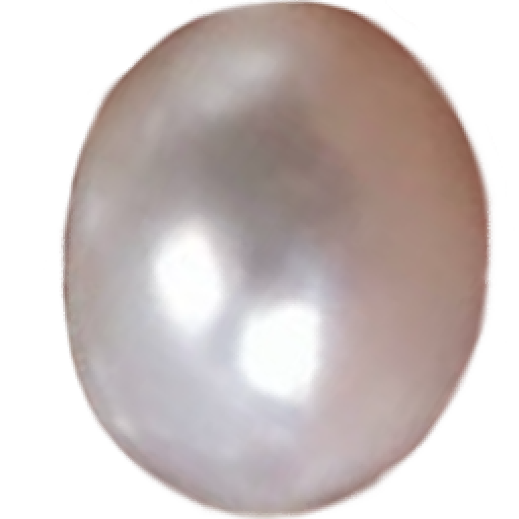 U1201 Natural Freshwater High-Dome Button White Pearl