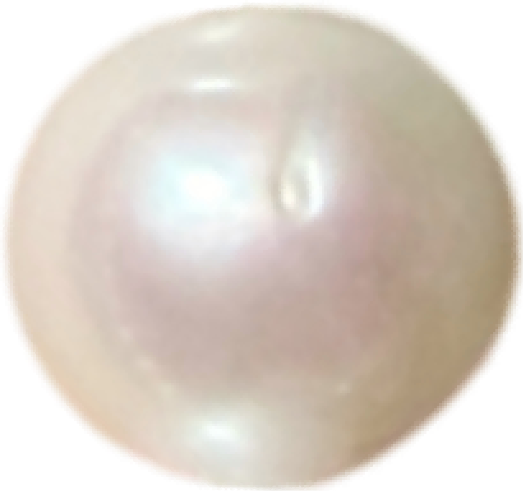 P0201 Standard White Freshwater Pearl