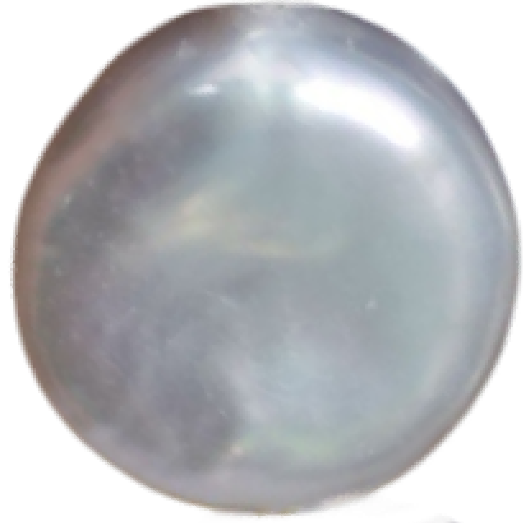 U2101 White Button Freshwater Pearl