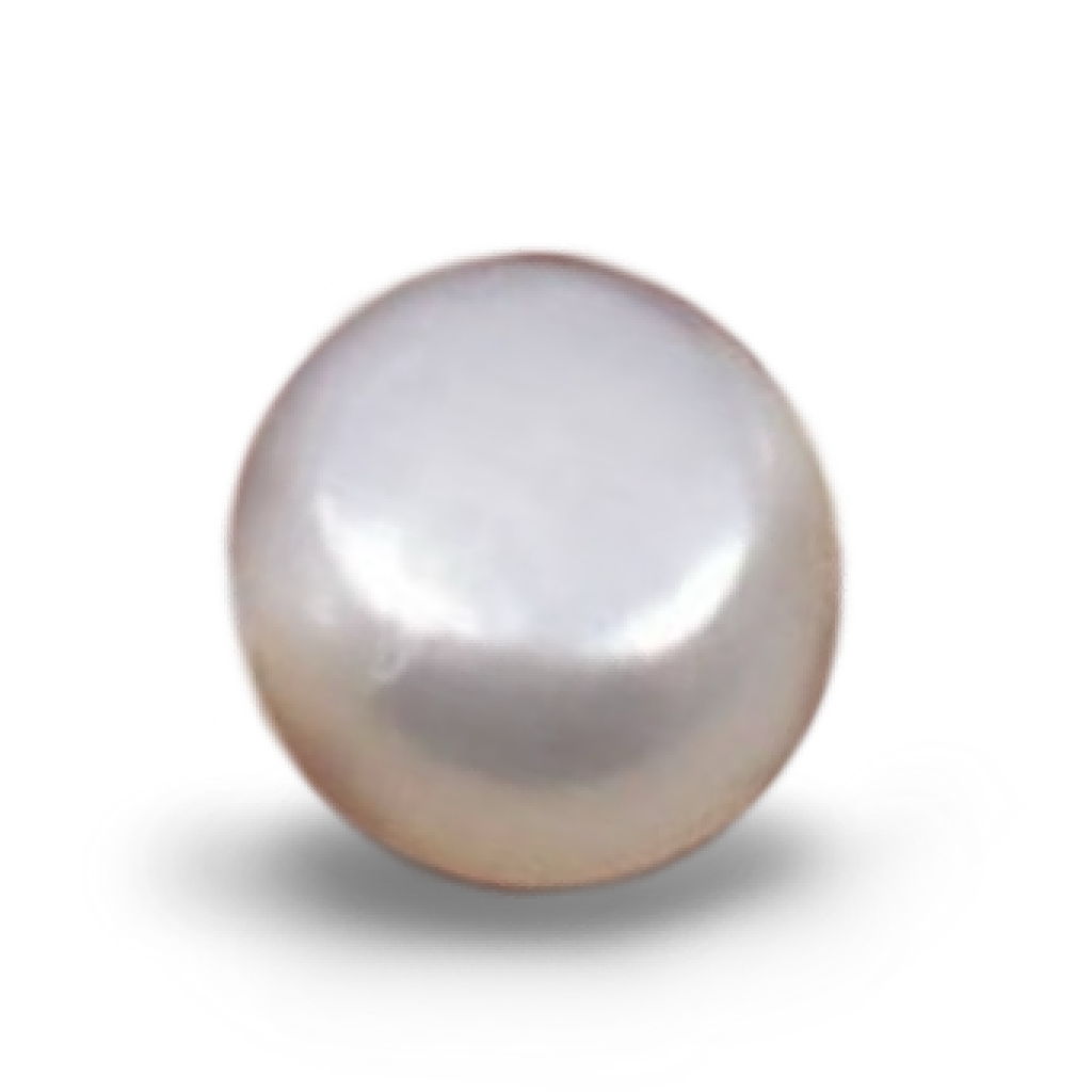 U1201 Natural Freshwater High-Dome Button White Pearl