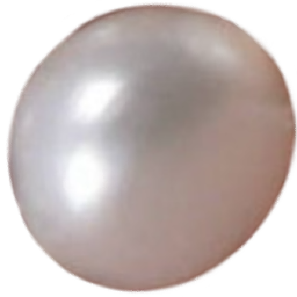 U1201 Natural Freshwater High-Dome Button White Pearl