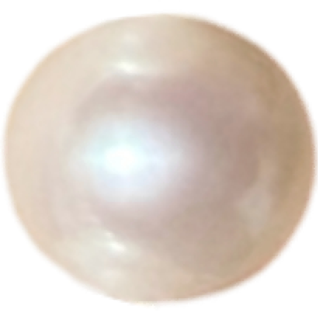 P0201 Standard White Freshwater Pearl