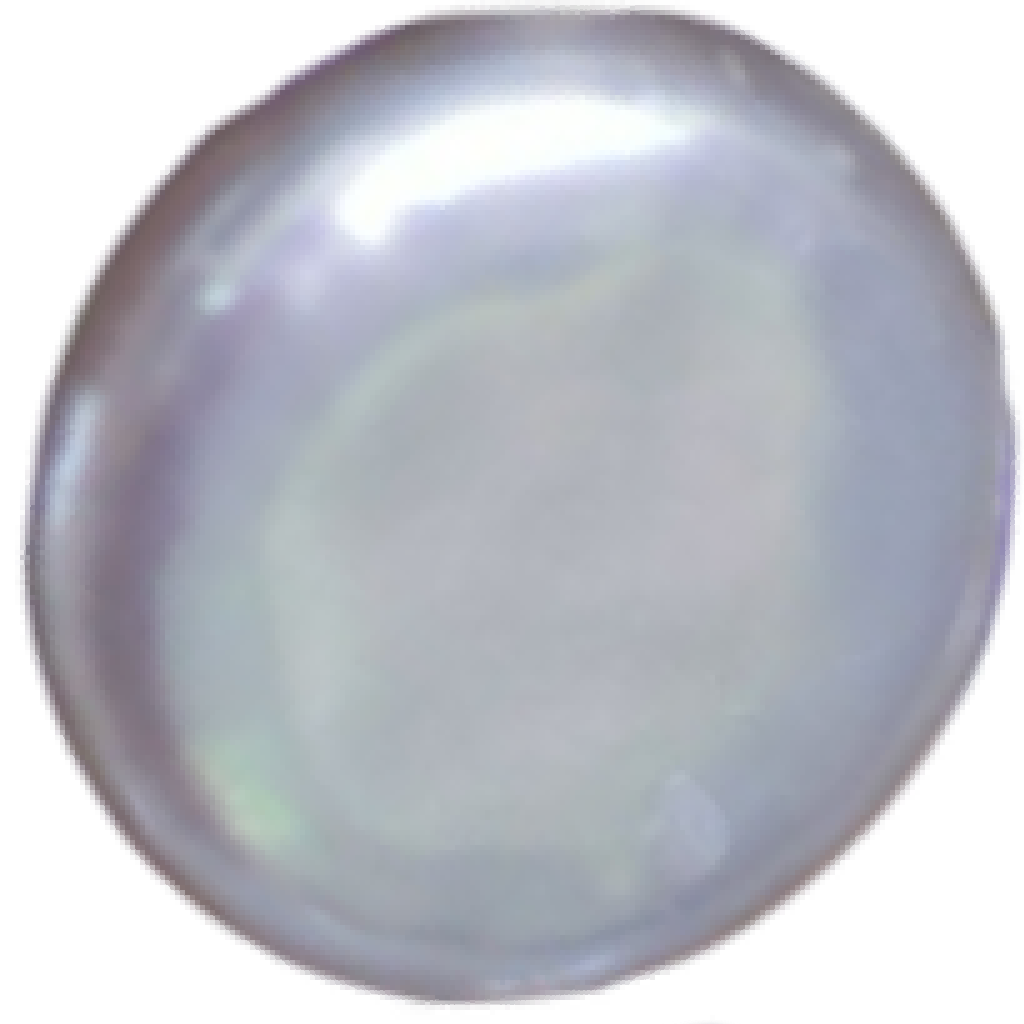 U2101 White Button Freshwater Pearl