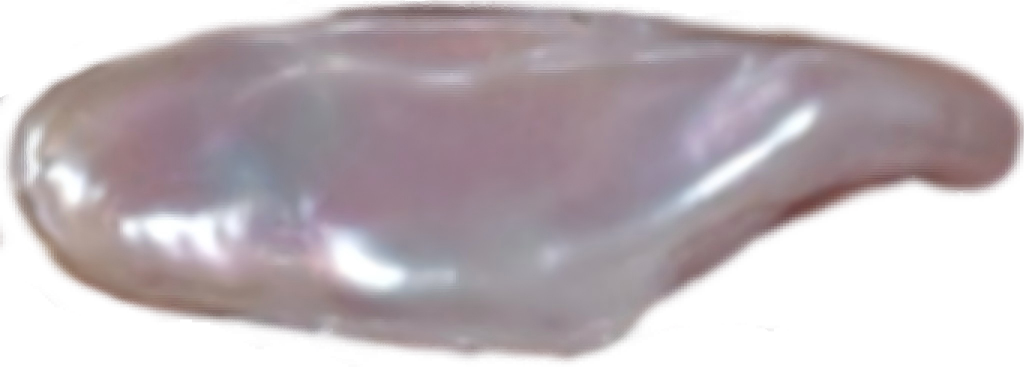 U0204 White Biwa Freshwater Pearl