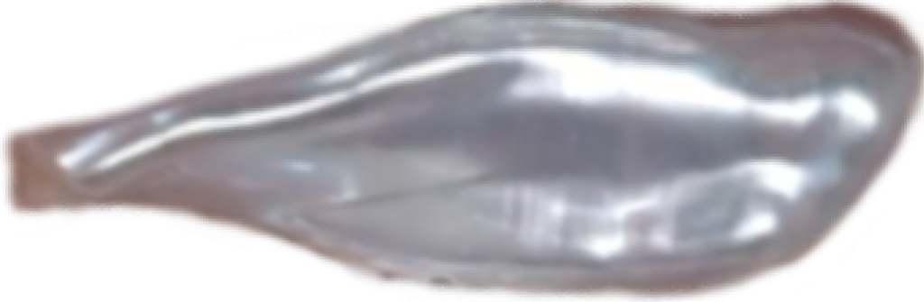 U0204 White Biwa Freshwater Pearl