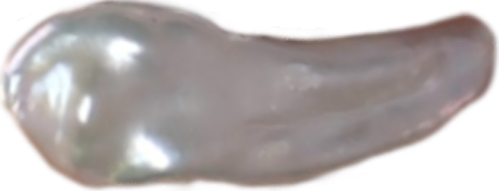 U0204 White Biwa Freshwater Pearl