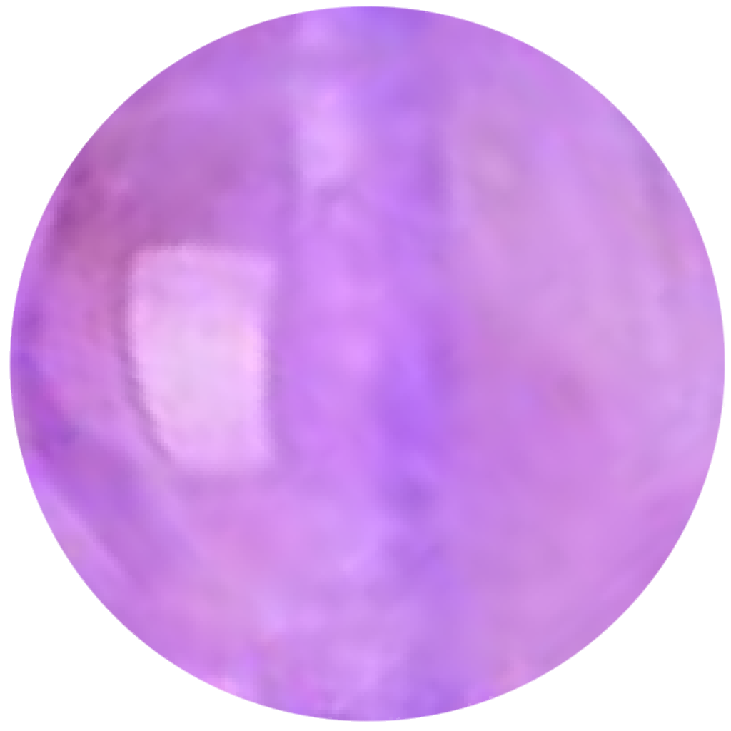 C0107 Natural Lavender Quartz round beads