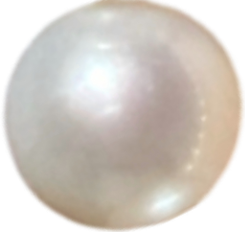 P0201 Standard White Freshwater Pearl