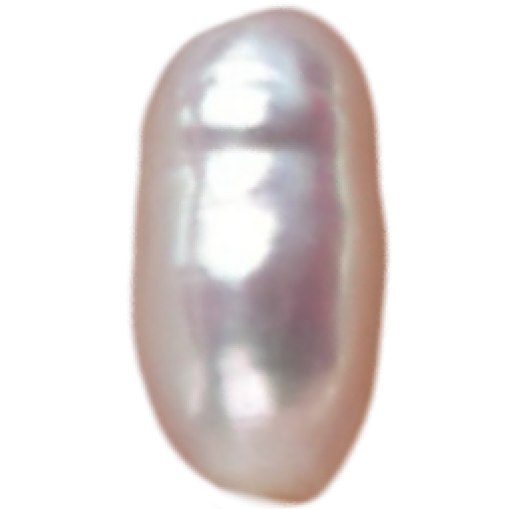 U0203 White Biwa Freshwater Pearl