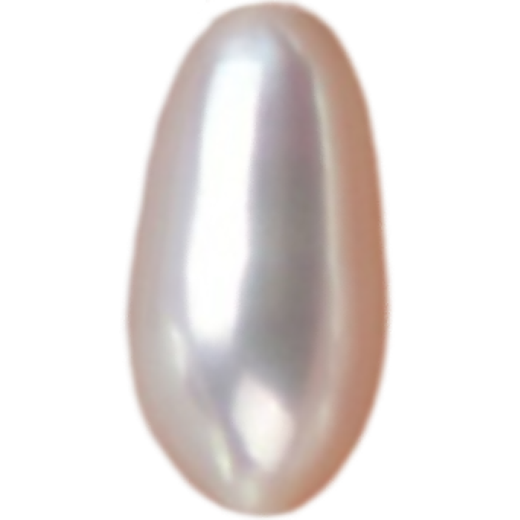 U0203 White Biwa Freshwater Pearl