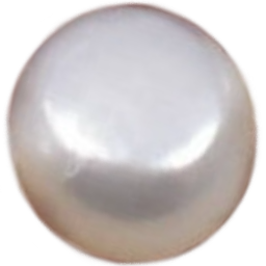 U1201 Natural Freshwater High-Dome Button White Pearl