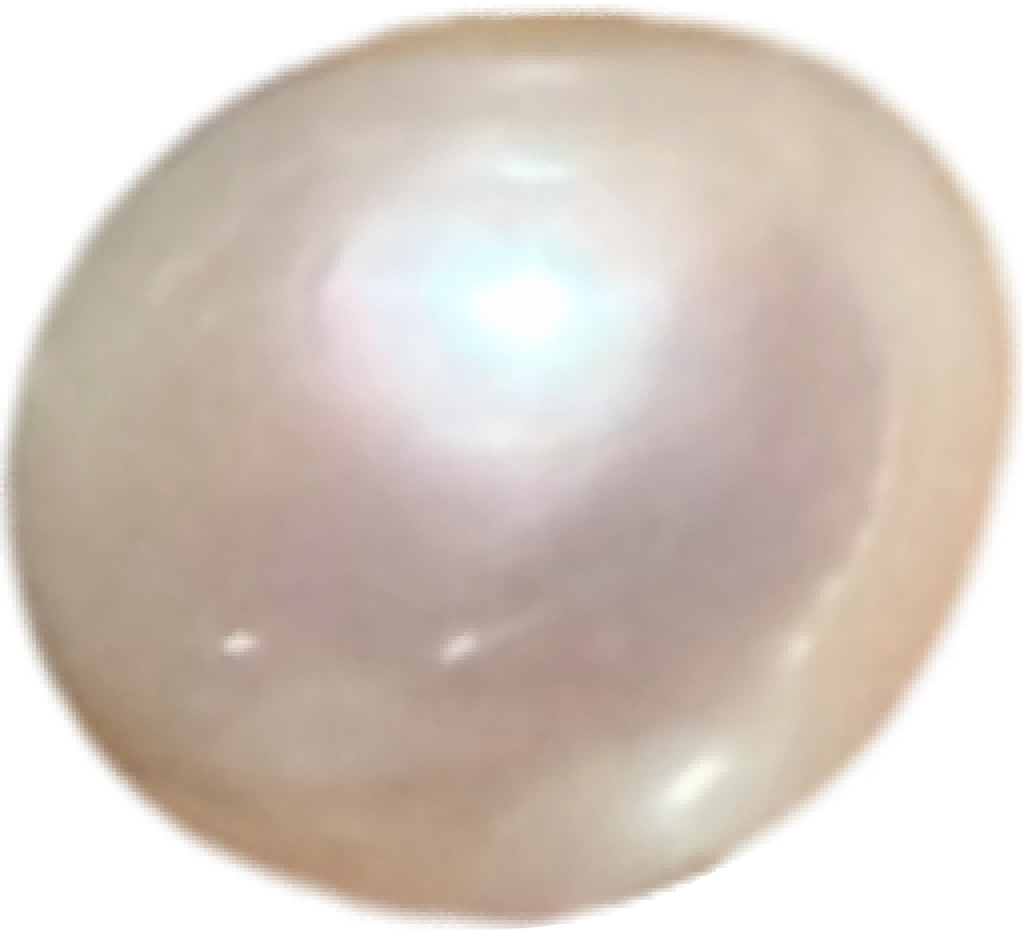 P0201 Standard White Freshwater Pearl