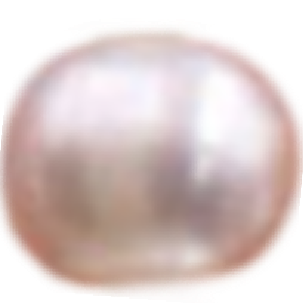 U1901 White Oval Freshwater Pearl