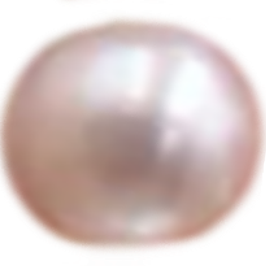 U1901 White Oval Freshwater Pearl