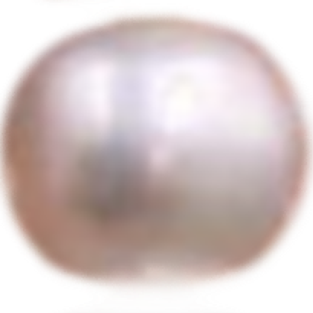 U1901 White Oval Freshwater Pearl