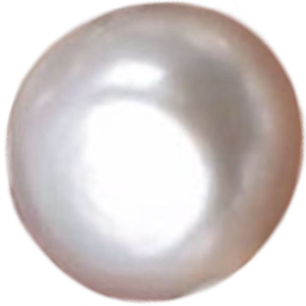 U1201 Natural Freshwater High-Dome Button White Pearl