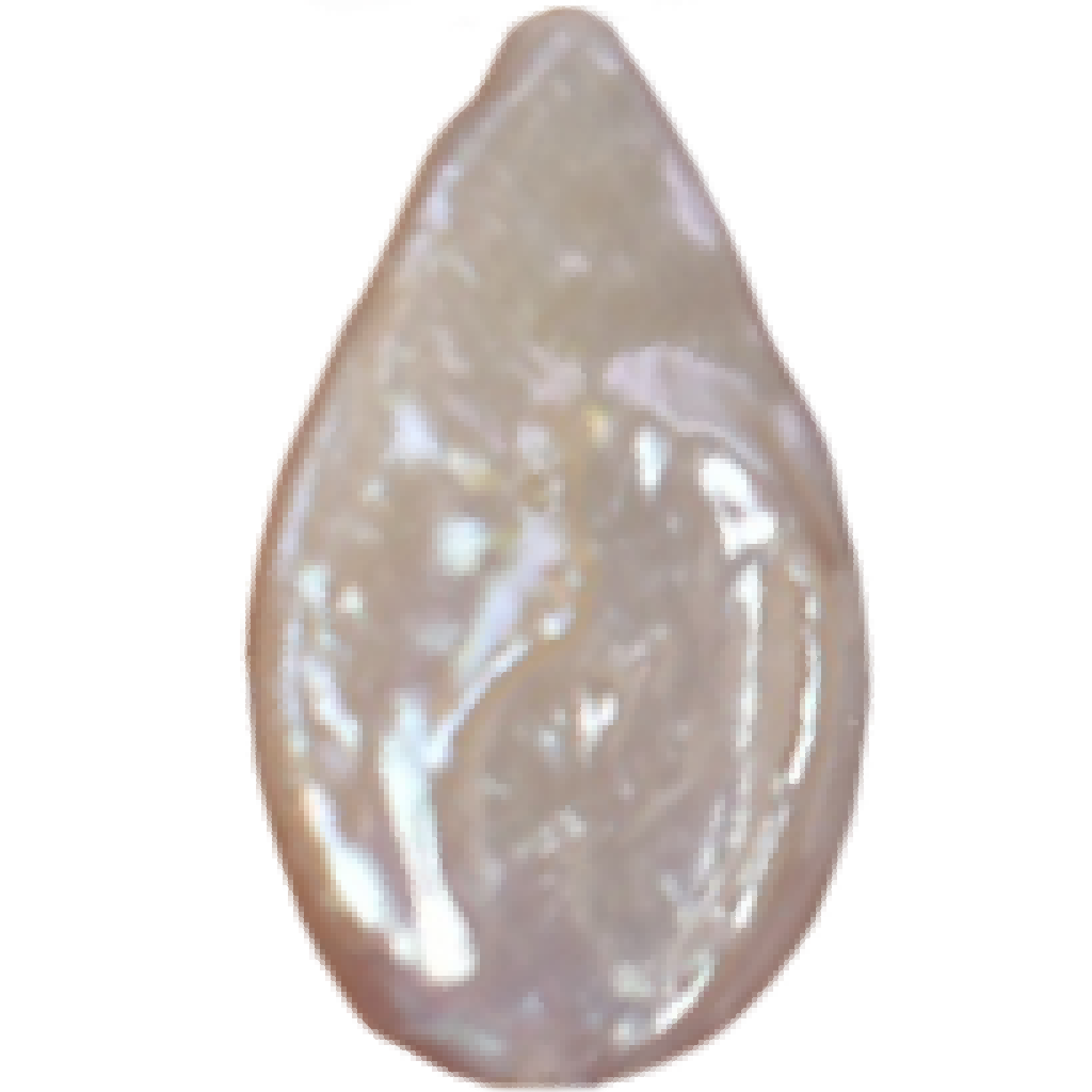 U2301 White Flat Teardrop Freshwater Pearl