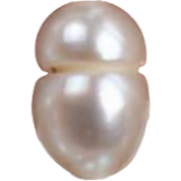 U0501 White Treaded Seed Freshwater Pearl