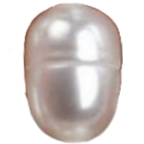 U0501 White Treaded Seed Freshwater Pearl