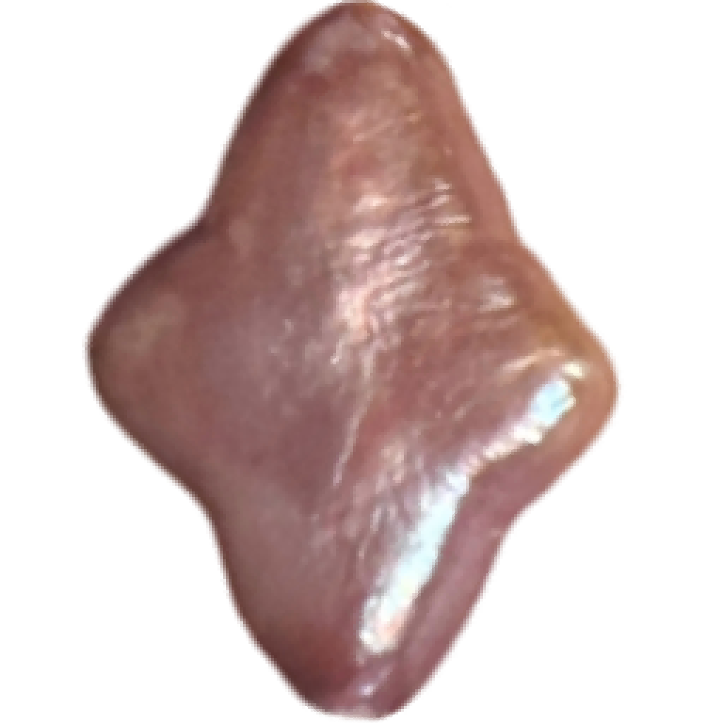 U0403 Purple Cross Star Freshwater Pearl