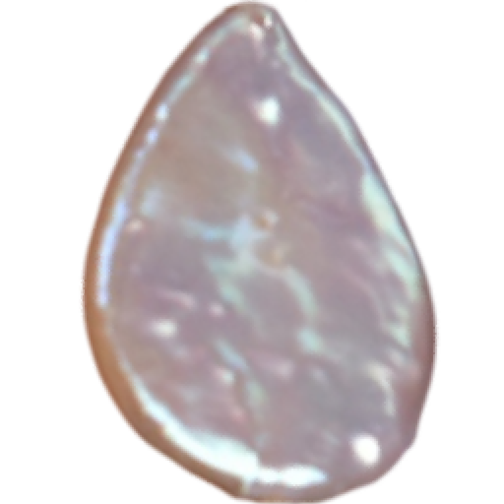 U2301 White Flat Teardrop Freshwater Pearl