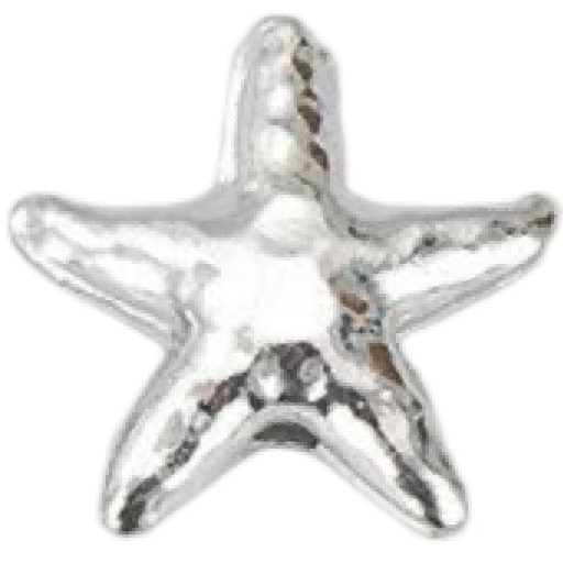 M1502 Starfish Bead