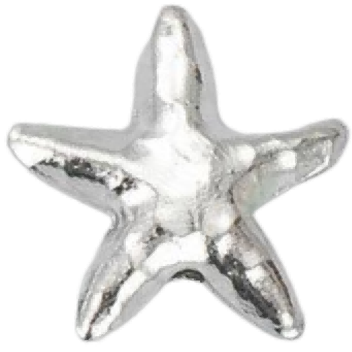 M1502 Starfish Bead