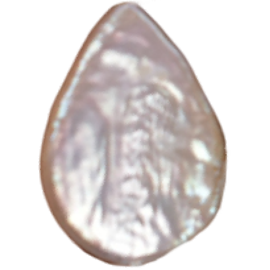 U2301 White Flat Teardrop Freshwater Pearl