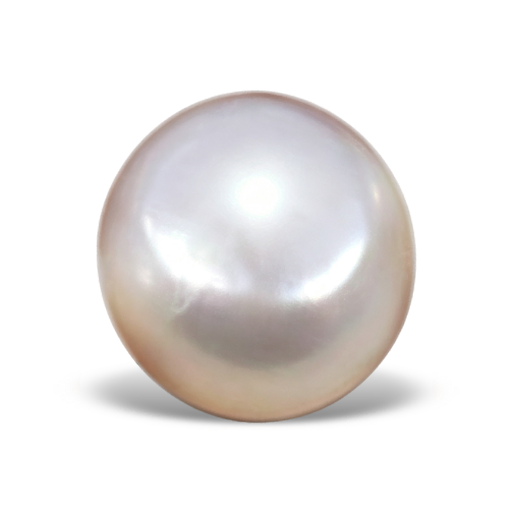 P1201 Natural Freshwater High-Dome Button White Pearl