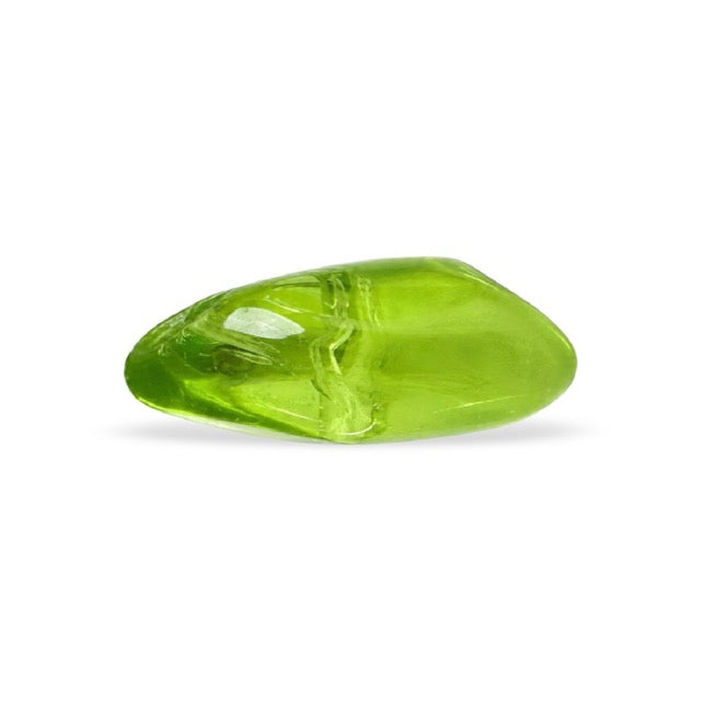 G0309